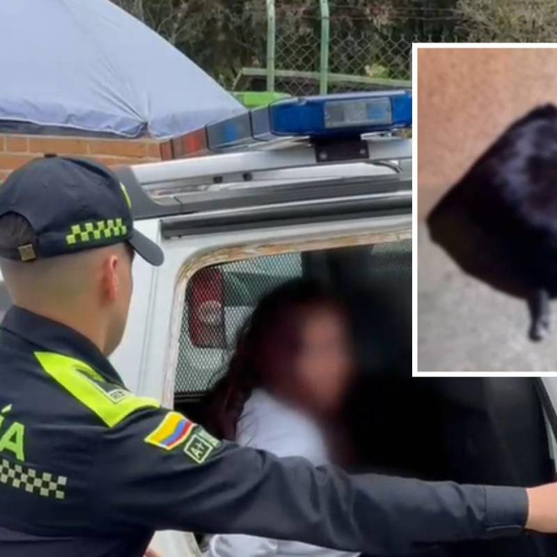 La mujer, de 39 años, será procesada por el delito de maltrato animal, luego de que se conociera del ataque en contra del canino en San Antonio de Prado. FOTOS: CORTESÍA-POLICÍA METROPOLITANA
