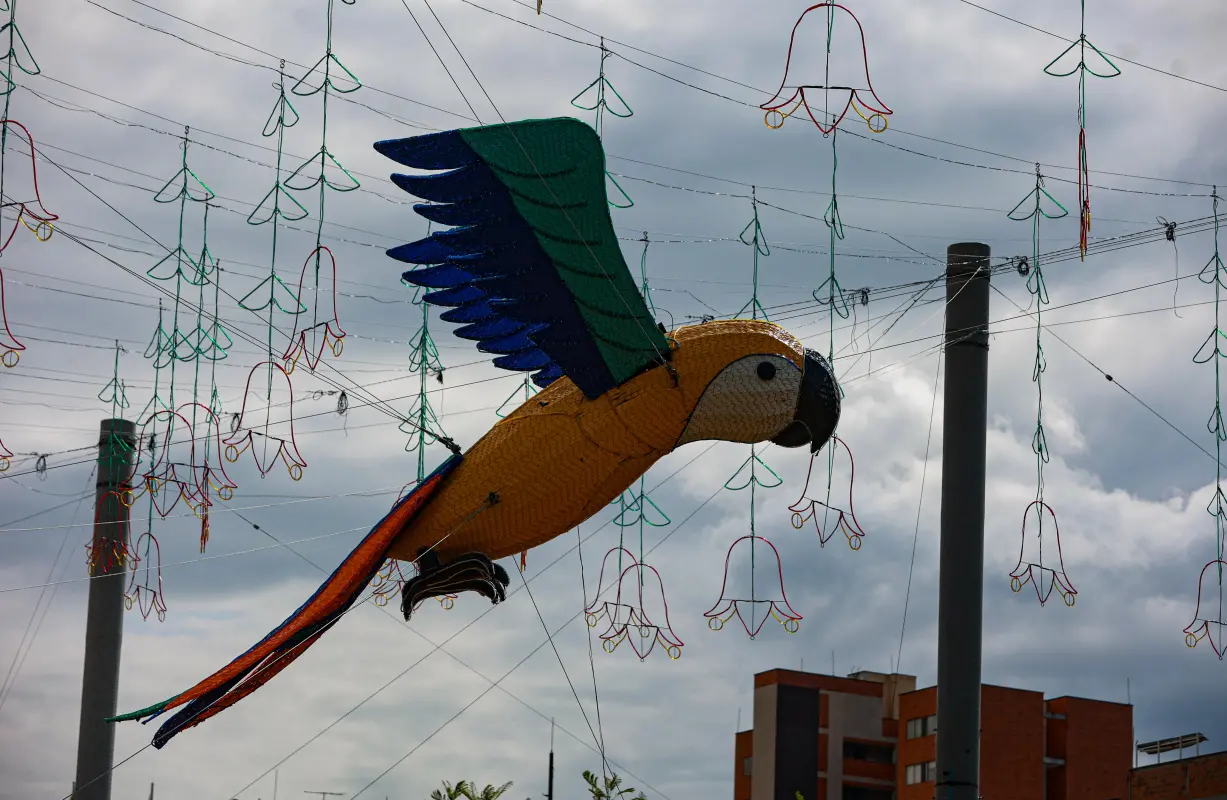 La temporada decembrina en Medellín, mundialmente conocida por su espectacular despliegue lumínico, ya está en cuenta regresiva. Los ojos de la ciudad y de millones de turistas están puestos en el río Medellín, el escenario principal donde la ingeniería, la creatividad y la tradición se unen para dar vida al famoso Alumbrado Navideño. Foto: Manuel Saldarriaga Quintero.