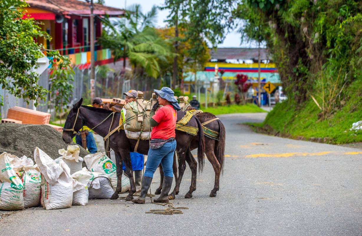 Los pobladores a orillas de la vía la utilizan para desplazarse con sus animales de carga. Foto Juan Antonio Sánchez Ocampo