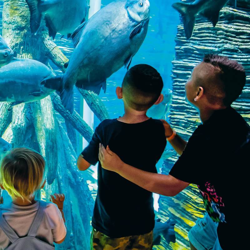 Los niños y sus familias disfrutan de las actividades en el Parque Explora de Medellín. FOTO: Jaime Pérez. 