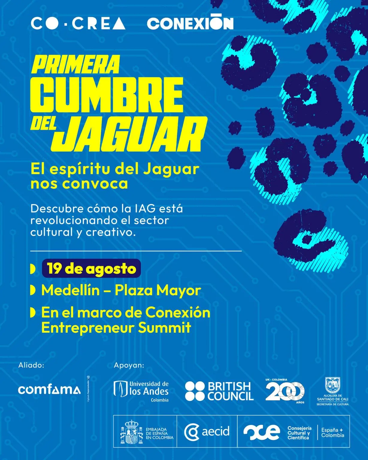 InfogrÃ¡fico