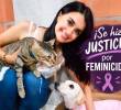 Esta es la imagen que tiene Angélica Giraldo en su perfil de WhatsApp. Corresponde a su hija Sandra, asesinada hace casi cuatro años. FOTO: CORTESÍA