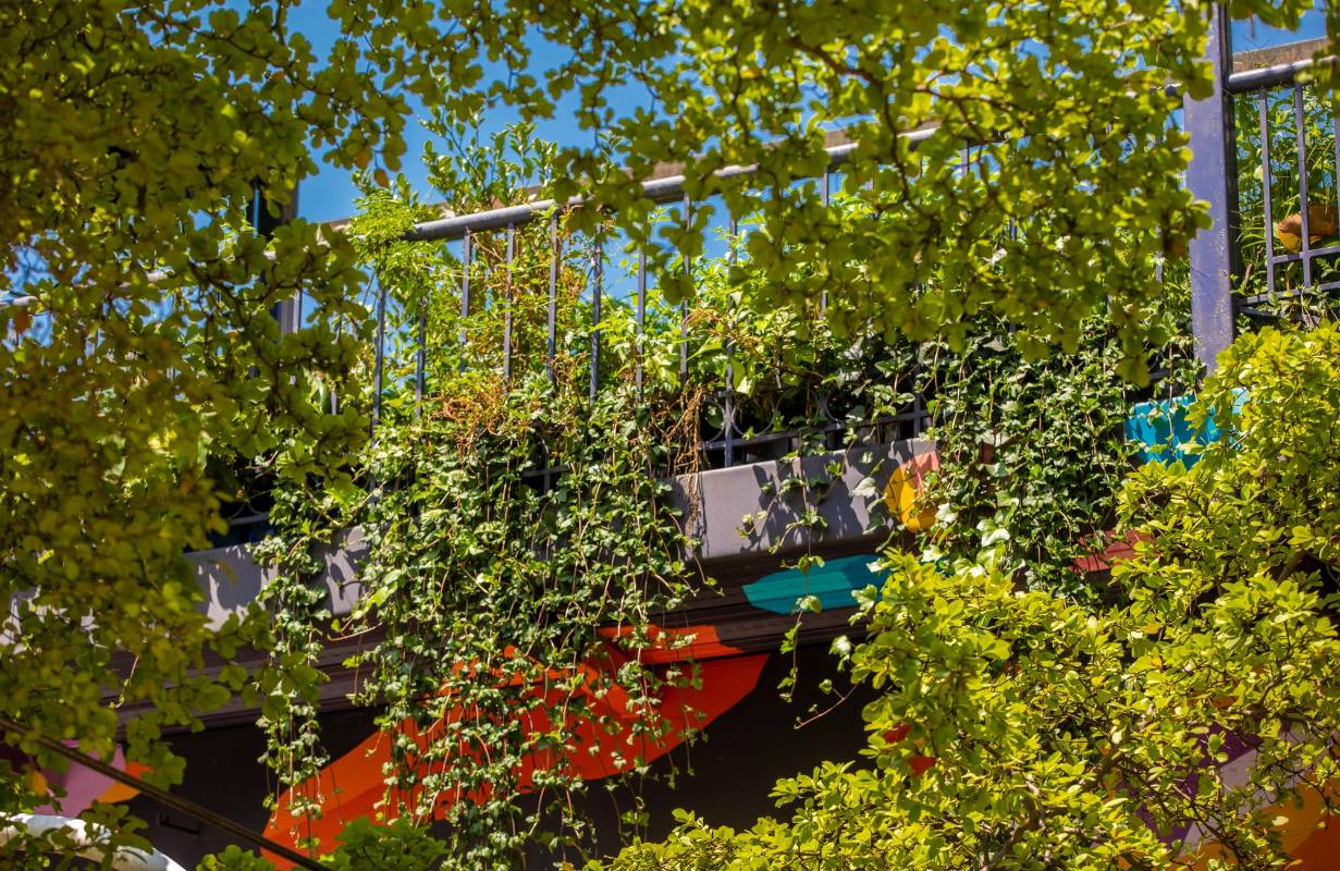 El puente poco utilizado lo convirtieron en un jardín de la ciudad. Foto: Camilo Suárez