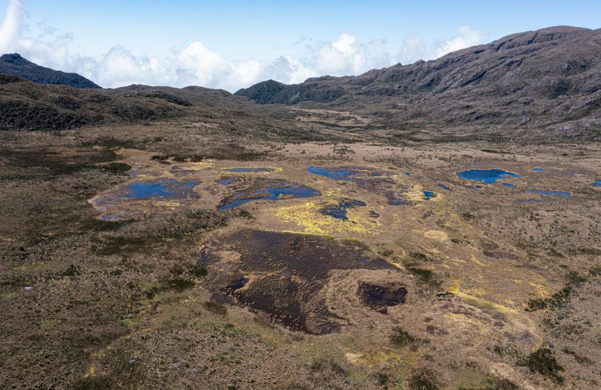 En juego está un ecosistema frágil, irremplazable, que provee agua a diez municipios de Antioquia y otro más en el Chocó. Foto: MANUEL SALDARRIAGA QUINTERO.