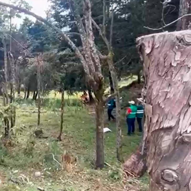 El viernes pasado se dio un rifirrafe entre habitantes de la vereda San Ignacio y quienes cortaban los árboles. FOTO: TOMADA DE VIDEO