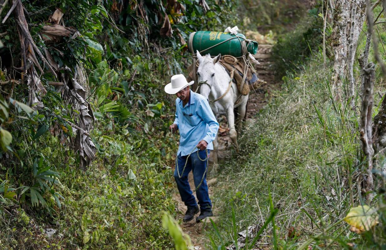 Los senderos que bajan eran el camino real que llegaba a la ribera del Cauca, donde quedaba un embarcadero para pasar a Concordia y seguir por todo el Suroeste. Foto: Manuel Saldarriaga Quintero.