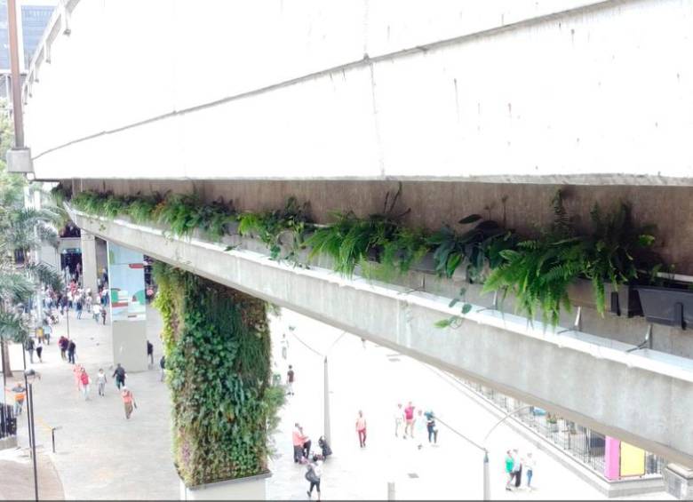 Las jardineras tienen una extensión de 340 metros y fueron instaladas en el viaducto del Metro, entre el Parque Berrío y la Plazuela Nutibara. FOTO: CORTESÍA ALCALDÍA DE MEDELLÍN