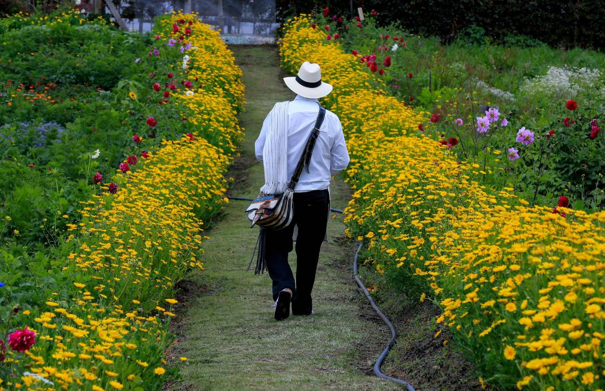 Finca el Pensamiento, ubicada en la vereda el Rosario. Brinda a sus visitantes, extensos jardines multicolores y un amplio conocimiento en floricultura. 