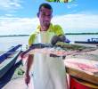 Descripción: Pescadores tradicionales de Puerto Berrío están felices con la subienda de pescado. Fecha de evento: 21/08/2023. Foto: Esneyder Gutiérrez