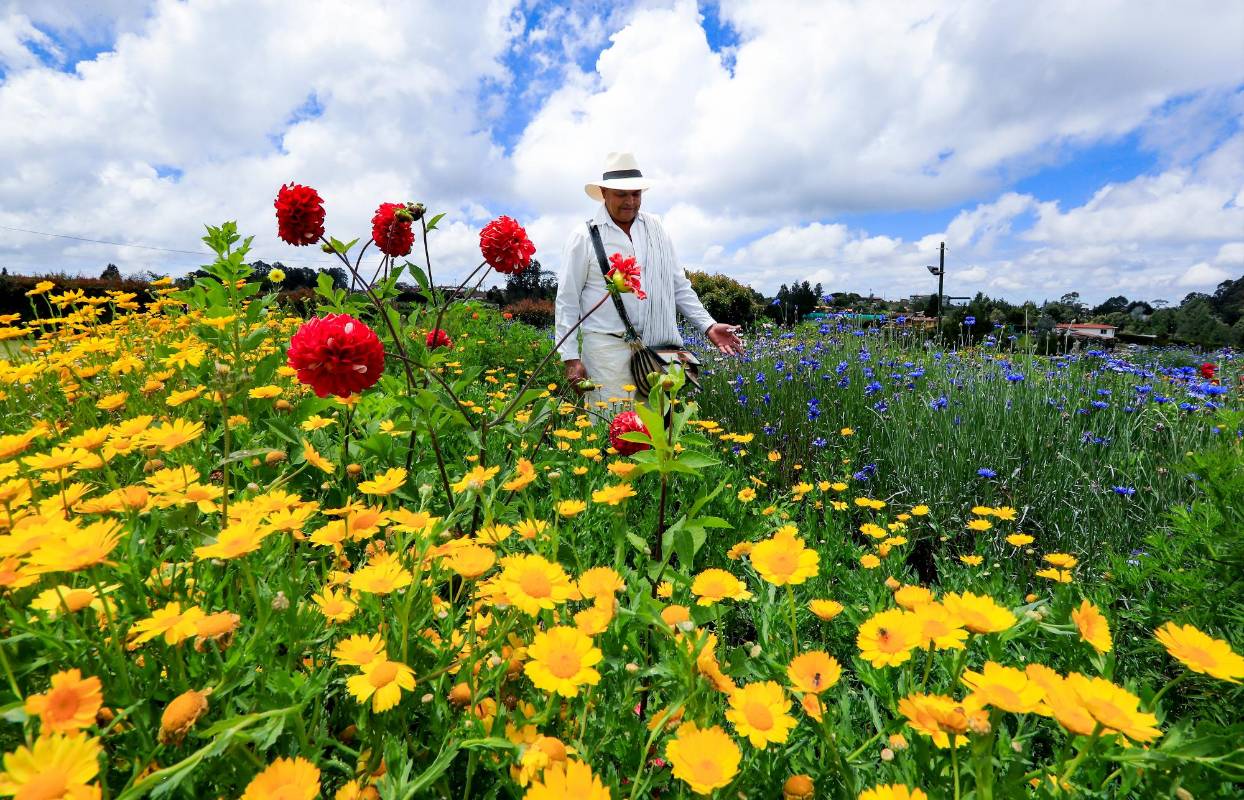 Finca el Pensamiento, ubicada en la vereda el Rosario. Brinda a sus visitantes, extensos jardines multicolores y un amplio conocimiento en floricultura. 