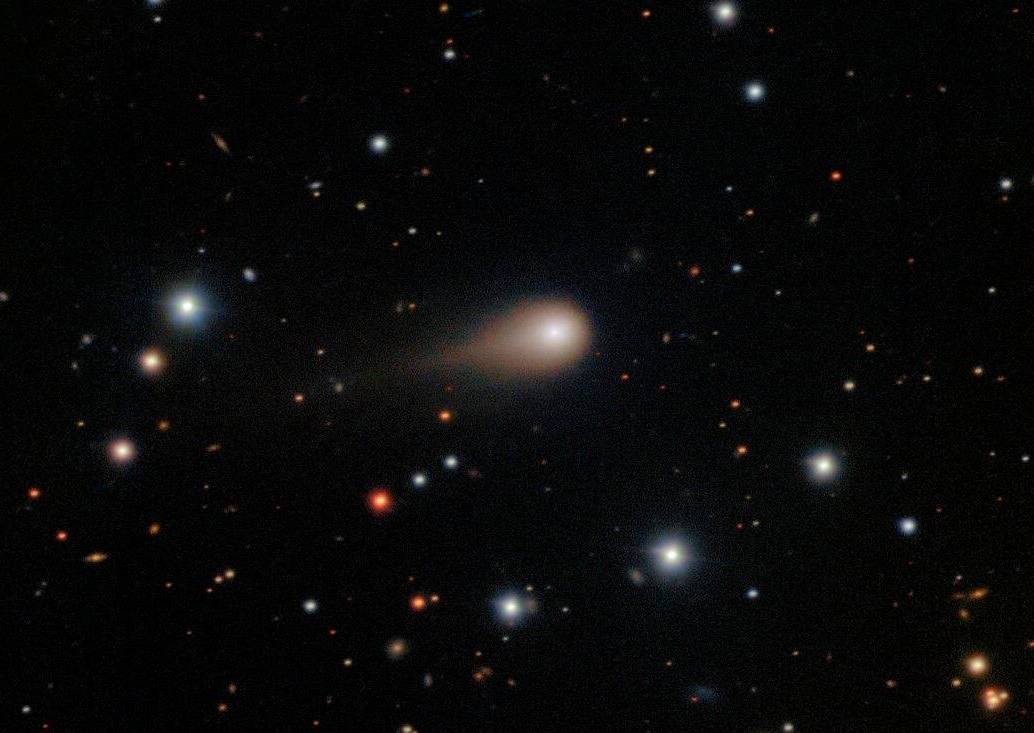 El cometa interestelar 3I/ATLAS, observado desde el telescopio Gemini Sur en Chile, muestra una cola extensa y una coma brillante al acercarse al Sol. FOTO cortesía 