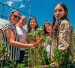 Con la huerta se enseña matemáticas en la Institución Educativa Dolores e Ismael Restrepo, de El Retiro. Con una maqueta y videos mostrarán cómo se desarrolla este proyecto. <b><span class=mln_uppercase_mln> </span></b>FOTOS<b><span class=mln_uppercase_mln> CAMILO SUÁREZ</span></b>