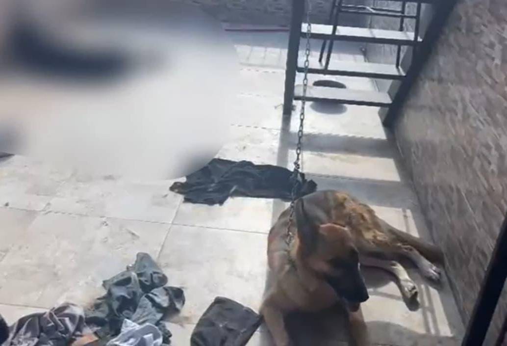 El pastor alemán y el rottweiler estaban en el mismo sitio, pero este último fue encontrado muerto. FOTO Cortesía Policía