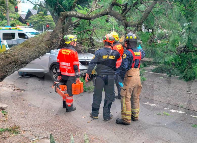 Personal del Cuerpo de Bomberos de Medellín y funcionarios de la Secretaría de Infraestructura y del Dagrd atienden la emergencia en el sitio. FOTO: Cortesía