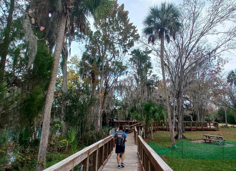 Refugios de animales, otra cara del turismo en Crystal River y Homosassa