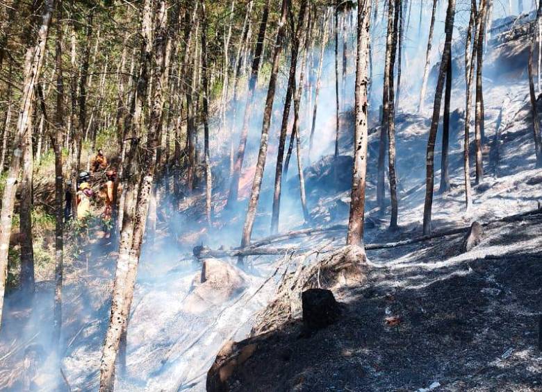 El incendio inicio el 4 de agosto sobre las 3:02 de la tarde. FOTO CORTESÍA BRAC