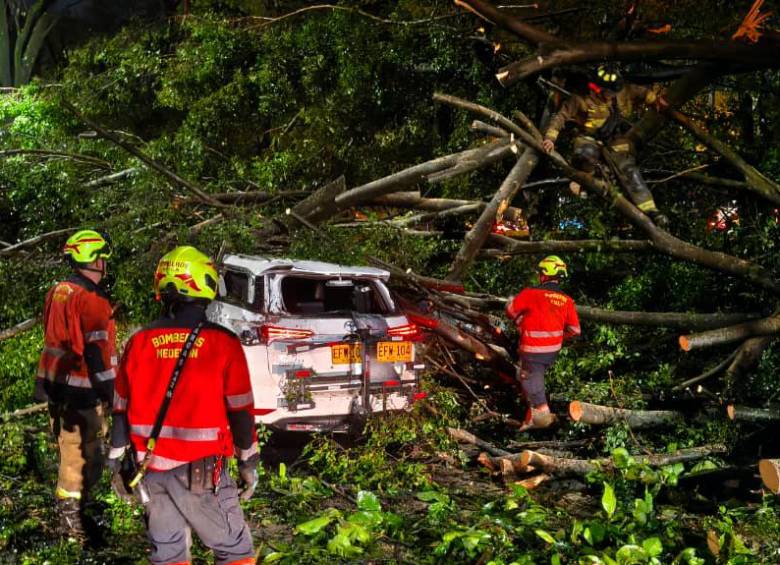En el cruce de la Avenida 80 con 65 dos carros quedaron atrapados por el follaje de un árbol caído. FOTO: HORUS THOR AMAYA ARBELÁEZ