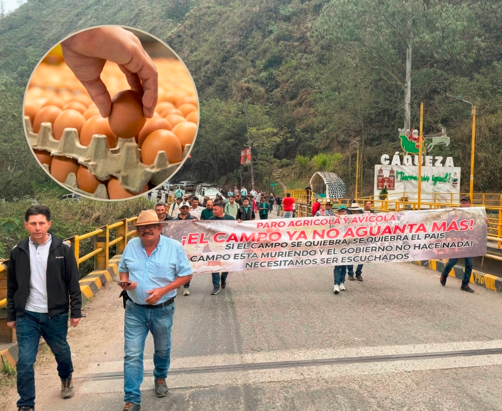 Campesinos aseguran que hay una crisis del huevo. FOTO EL COLOMBIANO Y FOTO TOMADA DE X (@Marovaan).