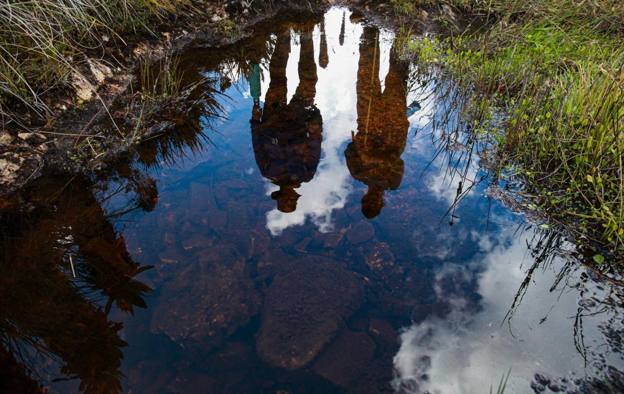 Este páramo tiene una gran riqueza hídrica y es el hogar natural del oso de anteojos. Foto: MANUEL SALDARRIAGA QUINTERO.