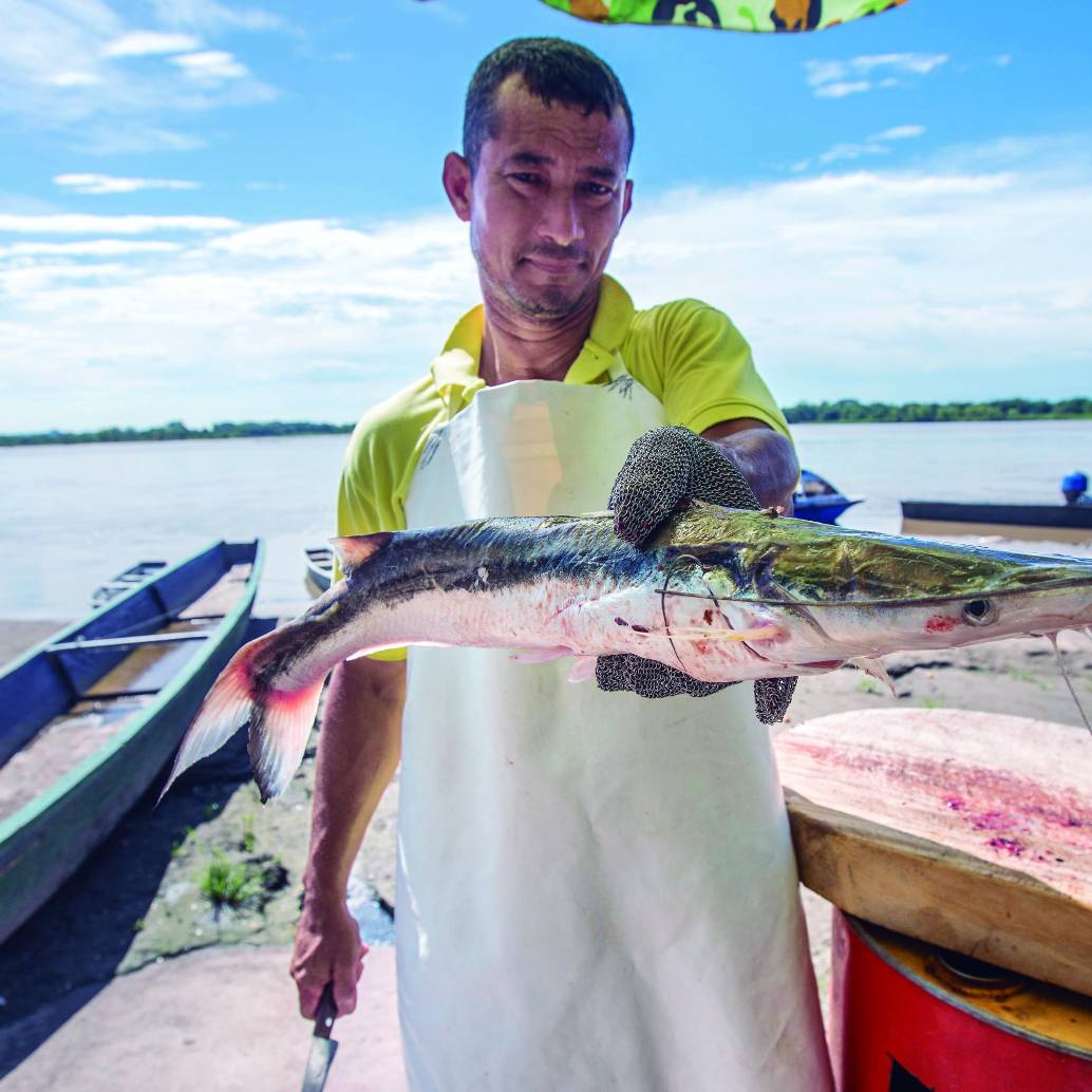 Descripción: Pescadores tradicionales de Puerto Berrío están felices con la subienda de pescado. Fecha de evento: 21/08/2023. Foto: Esneyder Gutiérrez
