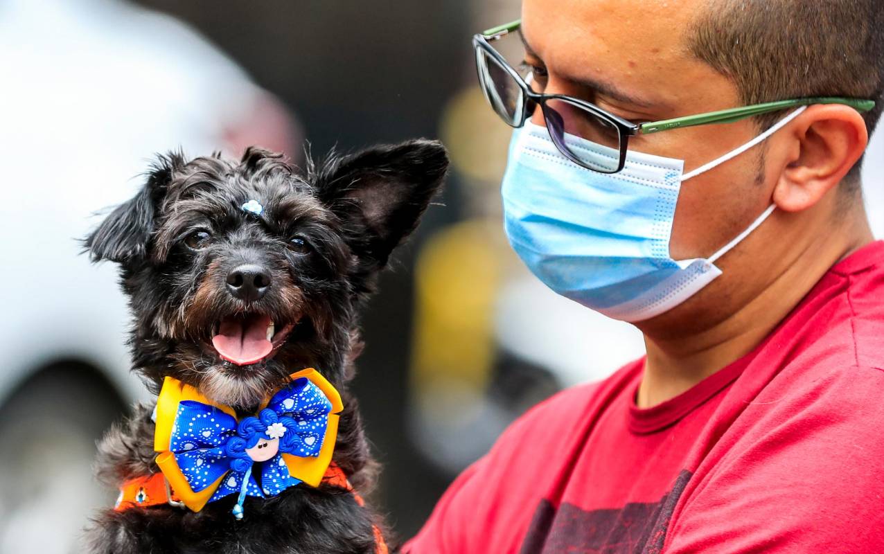 Es un acto de gran humanidad adoptar un animal que ha vivido situaciones y condiciones crueles o que podría vivirlas en el futuro. FOTO JAIME PÉREZ