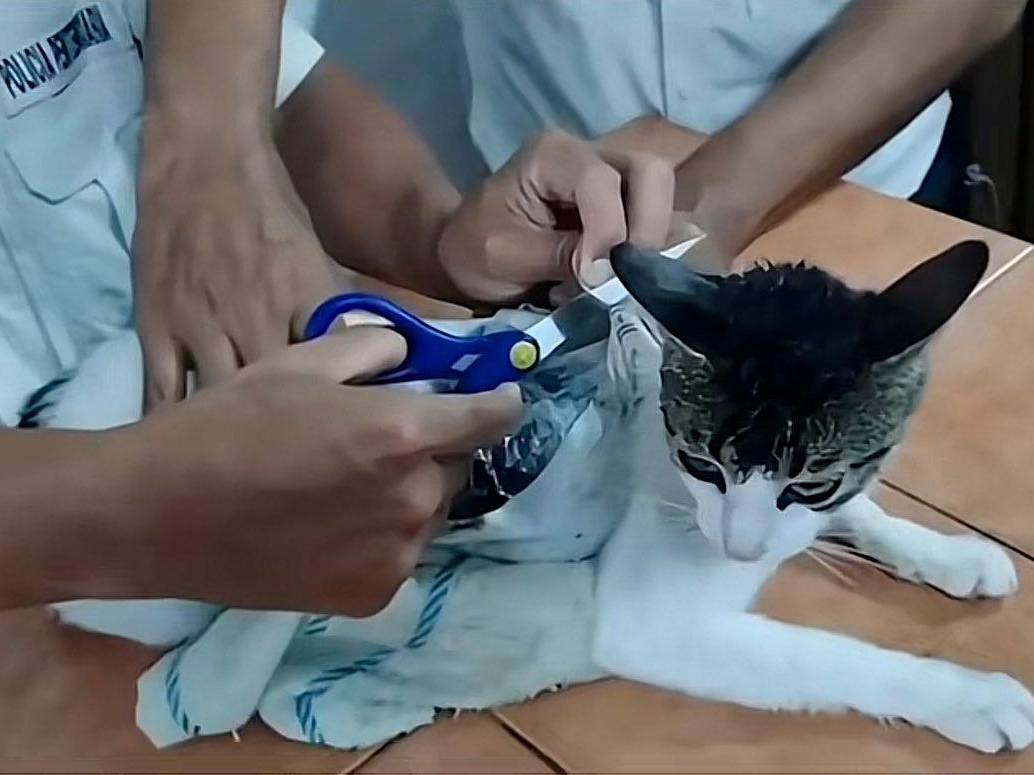 Los hechos se registraron en la cárcel de Pococí en Costa Rica. FOTO: Cortesía