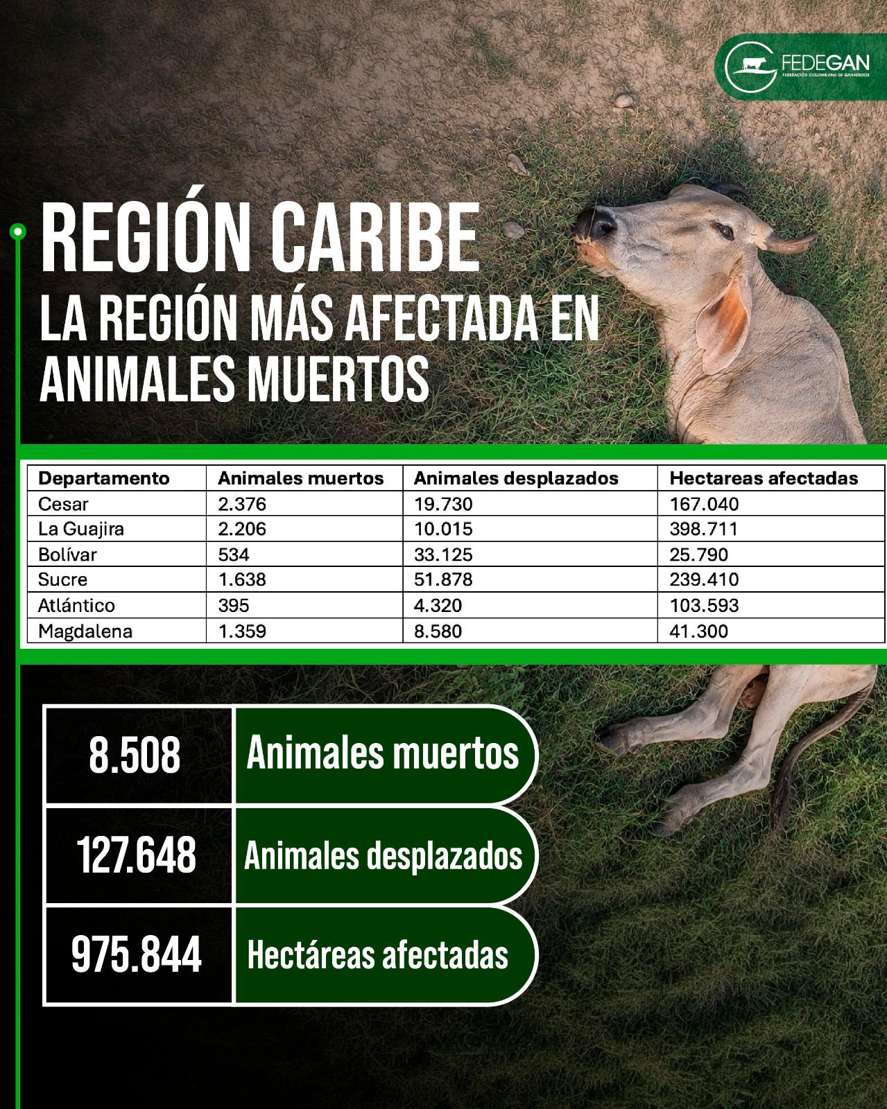 InfogrÃ¡fico