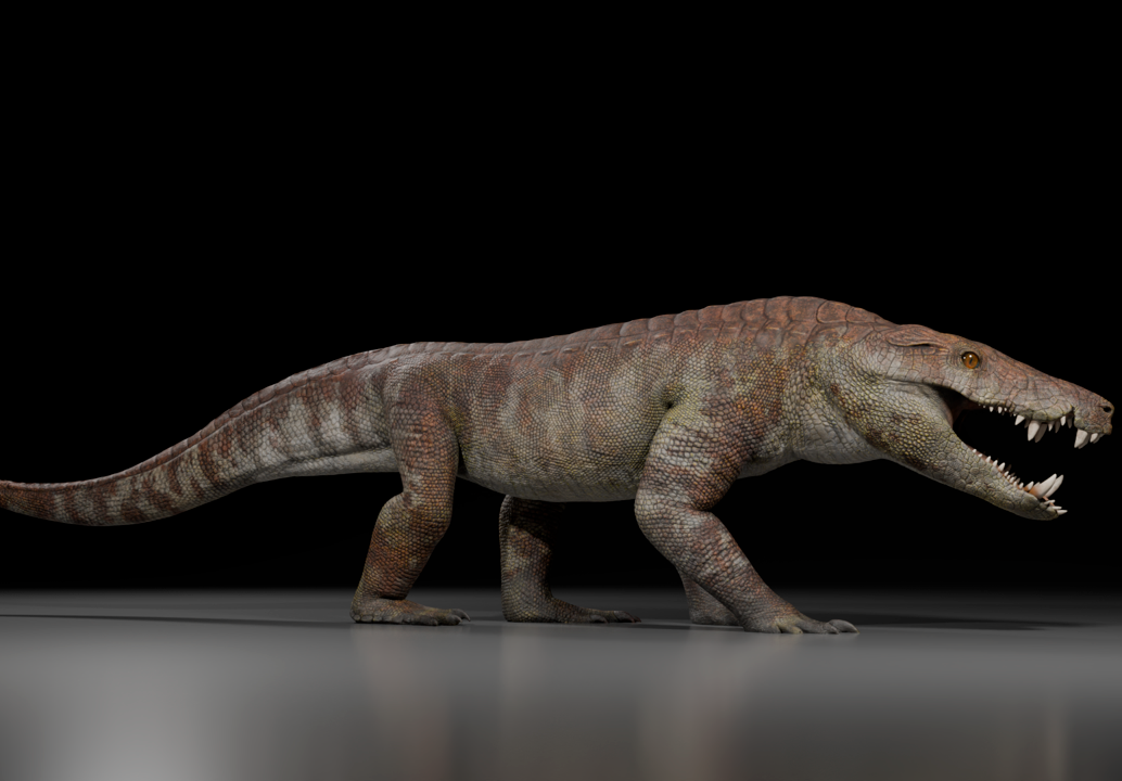 Recreación científica del Kostensuchus atrox, el cocodrilo carnívoro que habitó la Patagonia hace 70 millones de años. FOTO cortesía Daniel Díaz Yanten