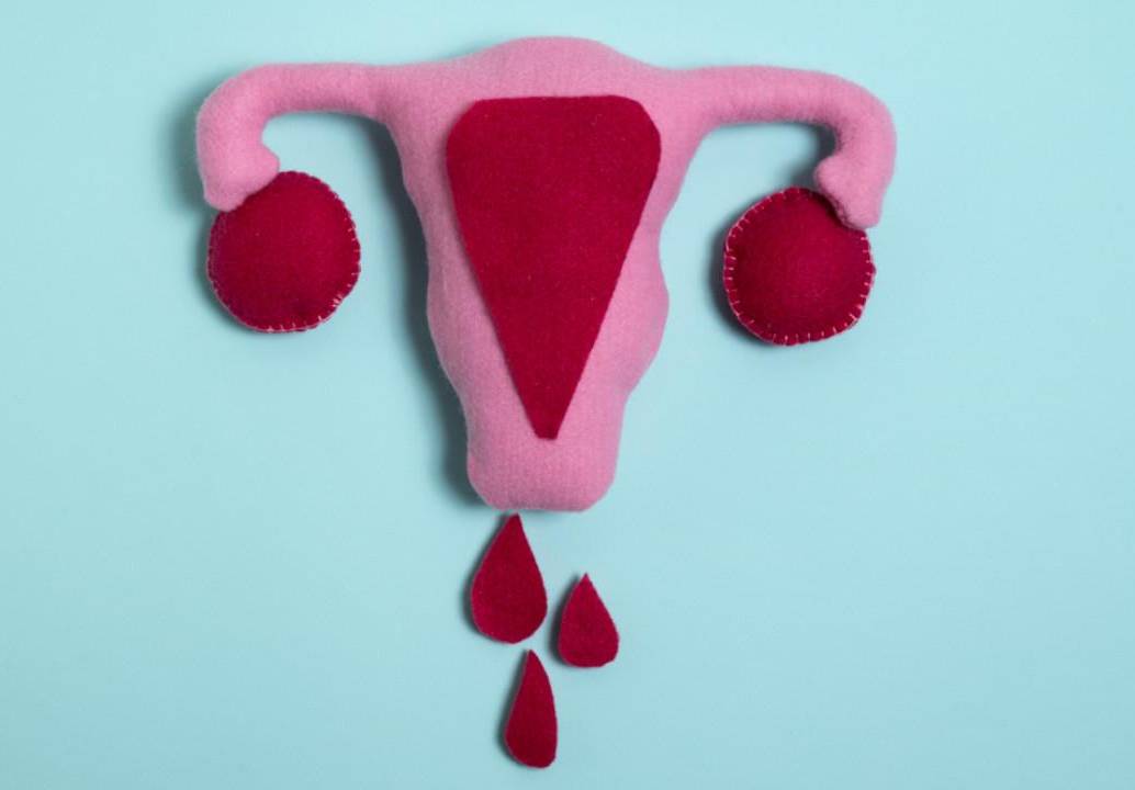 La menstruación es un trabajo natural del cuerpo femenino. Foto: Freepik 