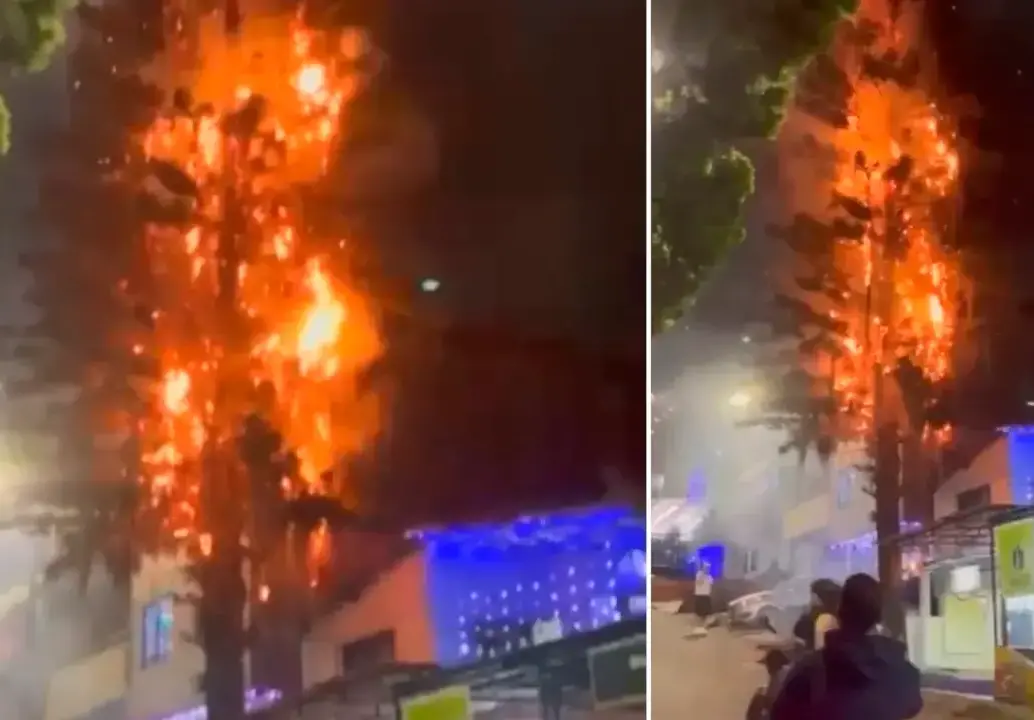 El incendio, además de acabar con el árbol, puso en riesgo varias casas. FOTO: Captura de video