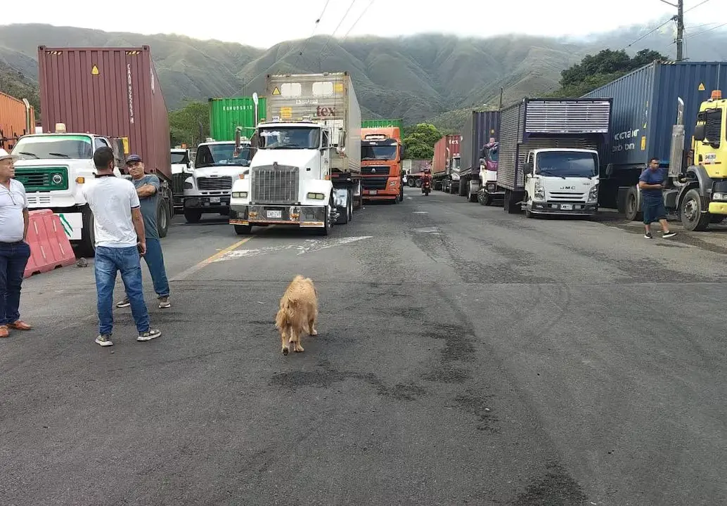 Empresarios y sectores productivos advirtieron que las afectaciones en el corredor hacia Buenaventura impactan las exportaciones, el transporte de mercancías y el abastecimiento de productos. FOTO: Fedetranscarga.