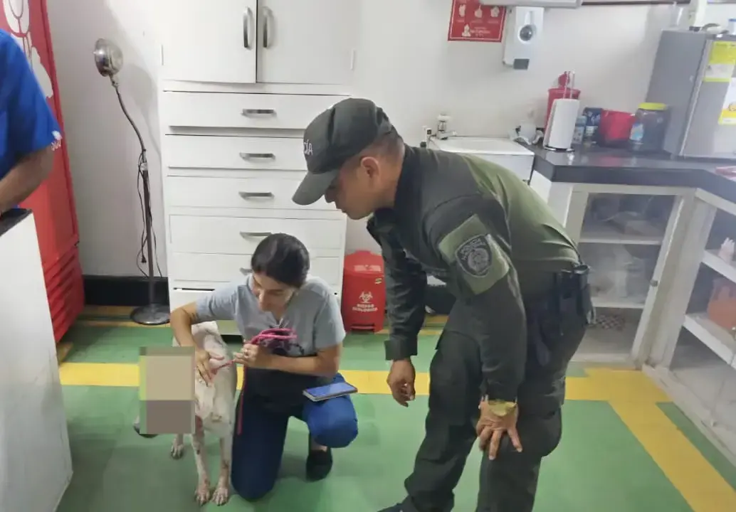 Ataque a perro en Barranquilla. Foto: Policía