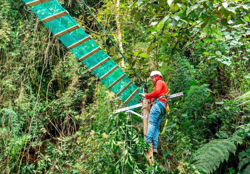 Los pasos seguros para la fauna silvestre, buscan evitar accidentes donde se ponga en riesgo la vida de los animales. FOTO: Cortesía Alcaldía de Medellín