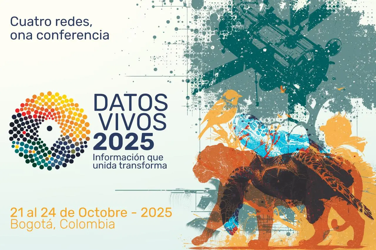 InfogrÃ¡fico
