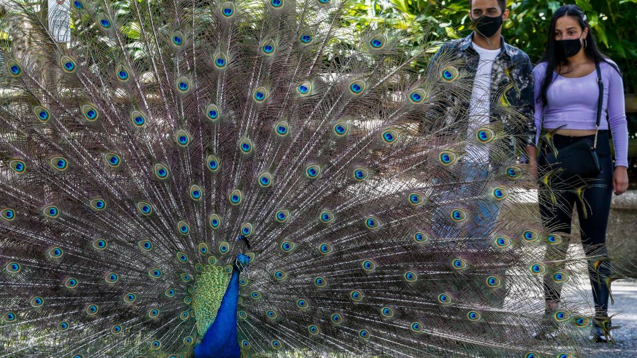 Reapertura del Parque de La Conservación