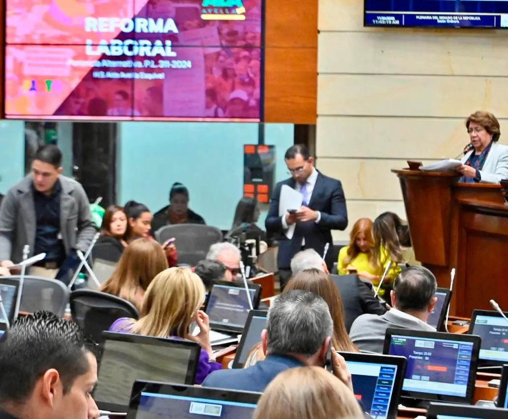 Plenaria del Senado retoma el debate FOTO CORTESÍA. 