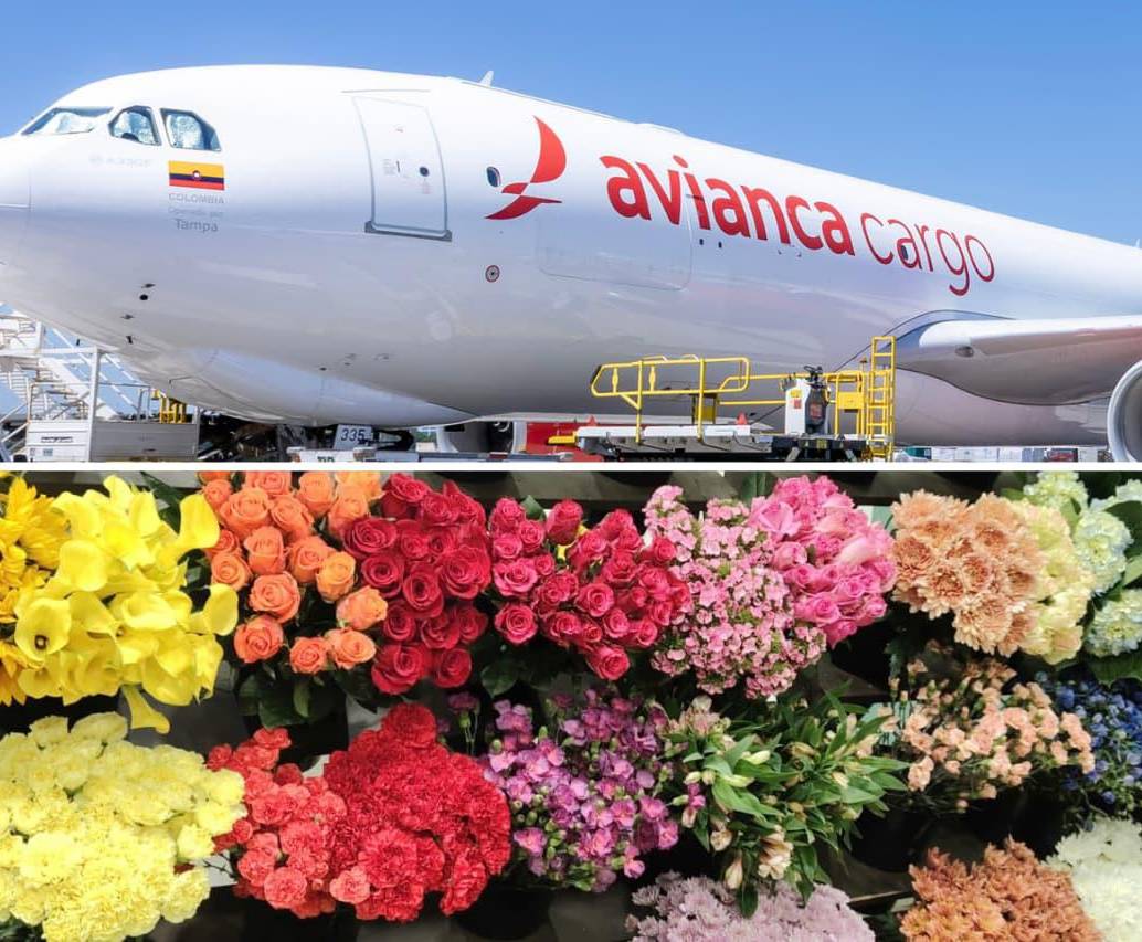 Un arduo trabajo realizó Avianca Cargo luego de transportar 330 millones de flores colombianas y ecuatorianas a Estados Unidos. FOTO: Avianca Cargo - EL COLOMBIANO