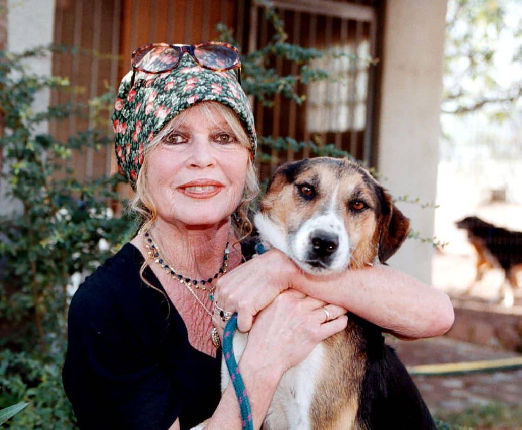 El cine francés lamenta la muerte de la actriz Brigitte Bardot, a sus 91 años. FOTO: Archivo EL COLOMBIANO