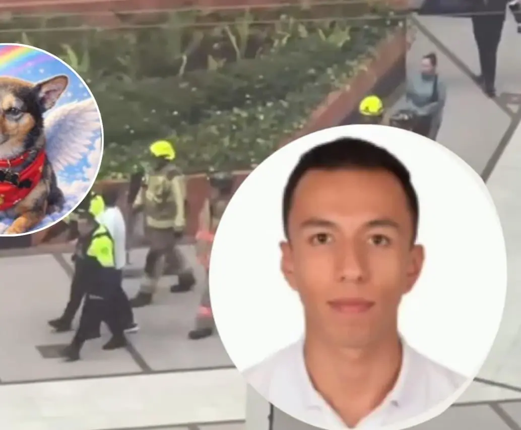 Habló el dueño del perrito Tonny, que fue lanzado desde el piso 25 de un edificio. Esto fue lo que contó. FOTO: Captura de video 