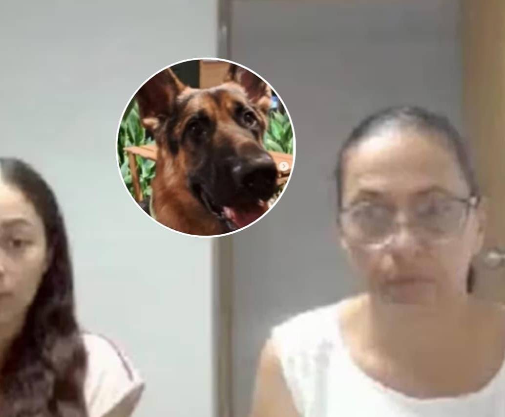 Teresita de Jesús Alcocer Puentes y su hija, Arlin Winneth Cuello Alcocer fueron condenadas por matar a un perro. FOTOS: FIscalía - tomada de redes sociales 