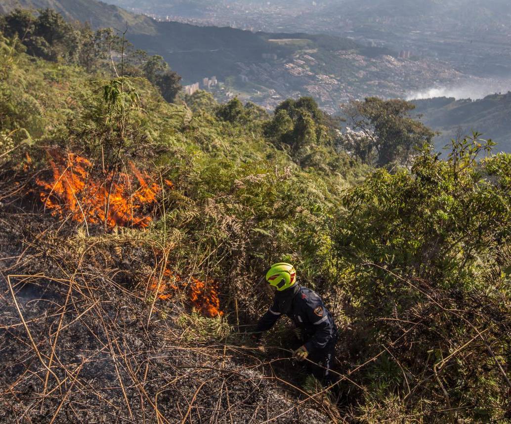 Las autoridades advierten sobre mayor riesgo de incendios forestales, reducción de caudales, afectaciones a la salud pública y presión sobre el suministro de agua y energía. Foto: cortesía Alcaldía de Medellín.