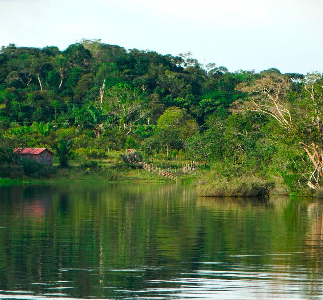 Cuerpo de agua en el Amazonas. Foto: Pixabay.