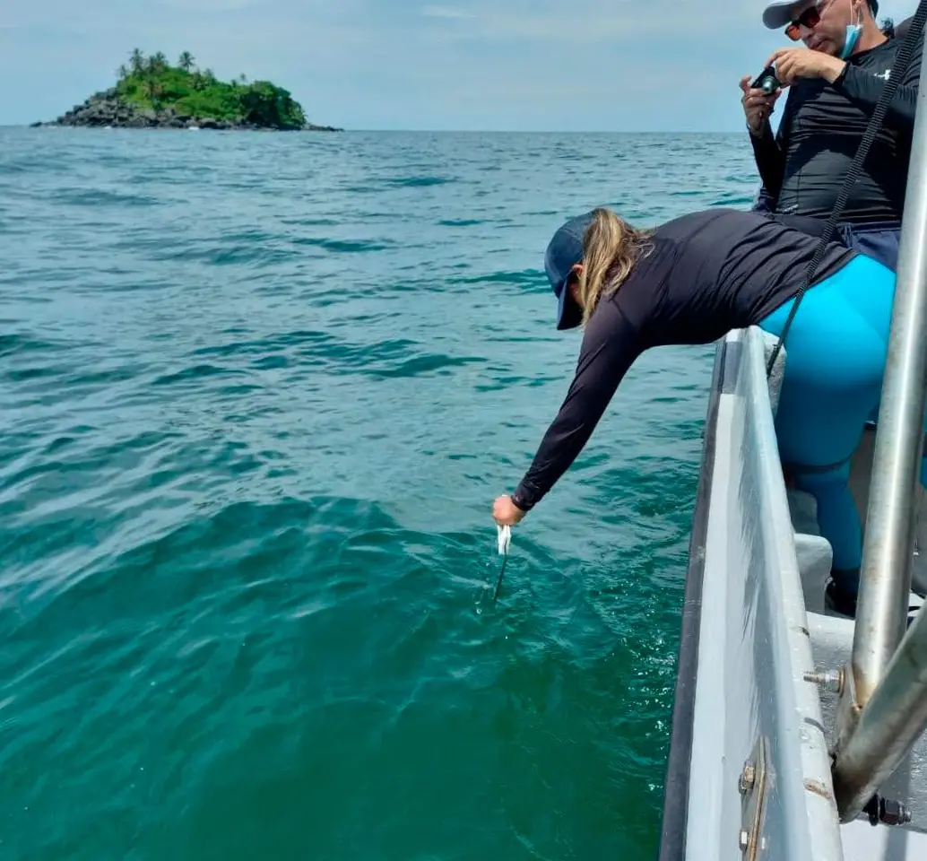 Investigadores durante el trabajo de campo en el Golfo de Urabá, donde recolectaron muestras de la microcapa superficial marina para su análisis en laboratorios especializados. FOTO cortesía UdeA