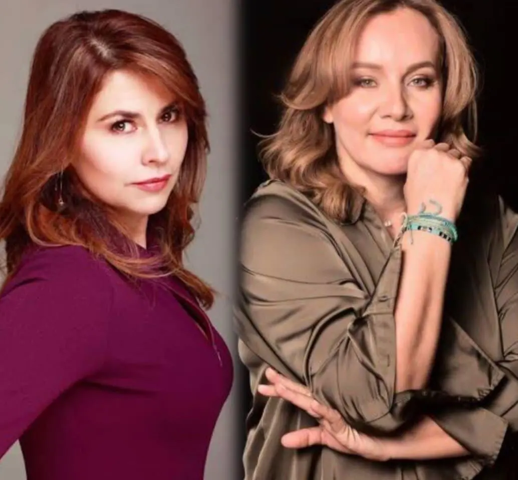 El Ministerio del Trabajo y el Ministerio de las Culturas instalaron una mesa interinstitucional para revisar denuncias por pagos atrasados en el sector teatral colombiano. FOTOS redes sociales