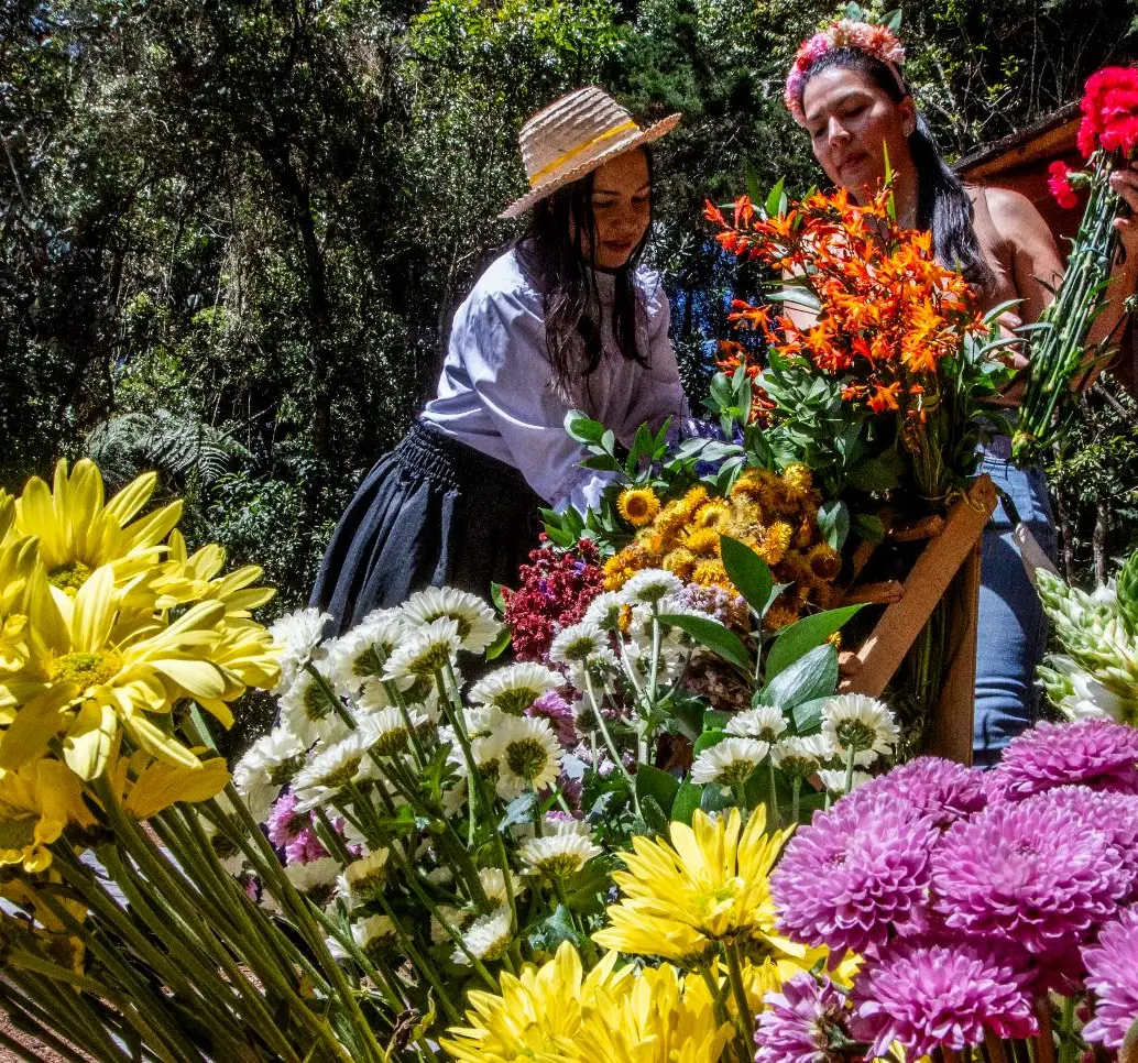 Claudia Vanegas (izquierda) enseña a una visitante los secretos de las silletas de flores. Foto: Julio César Herrera.