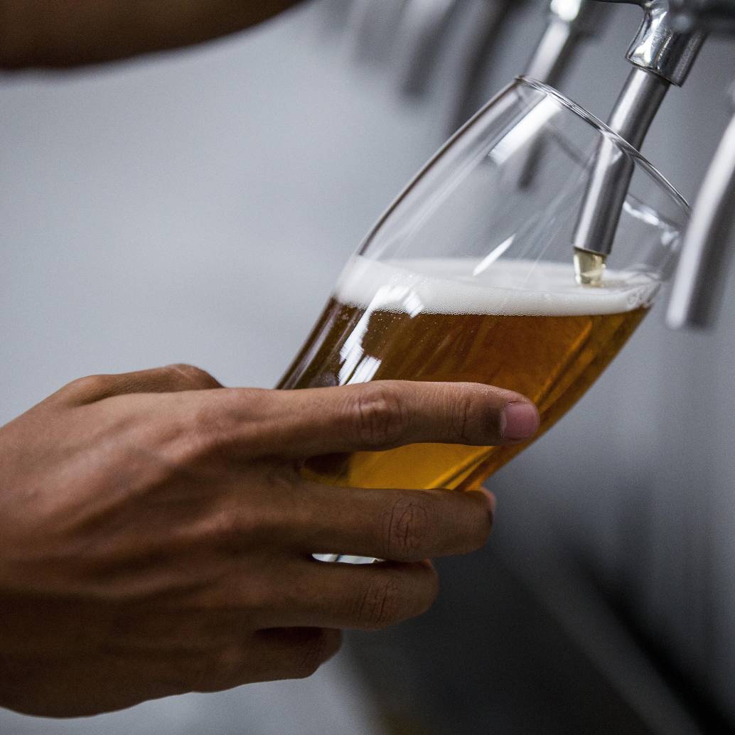 Las cervezas lager se caracterizan por ser rubias, de baja fermentación, sabor limpio y suave. Foto: Julio César Herrera