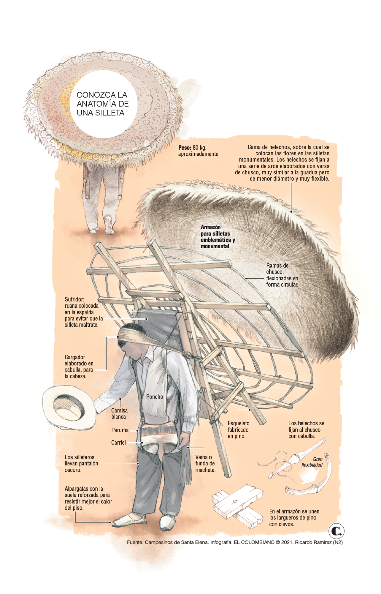 InfogrÃ¡fico