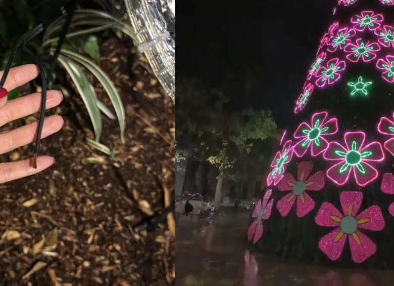 Entre los casos más graves están los robos reportados en el Árbol de Navidad de la Plaza Botero, donde los vándalos se robaron 65 metros de cable dúplex. FOTO: Cortesía EPM