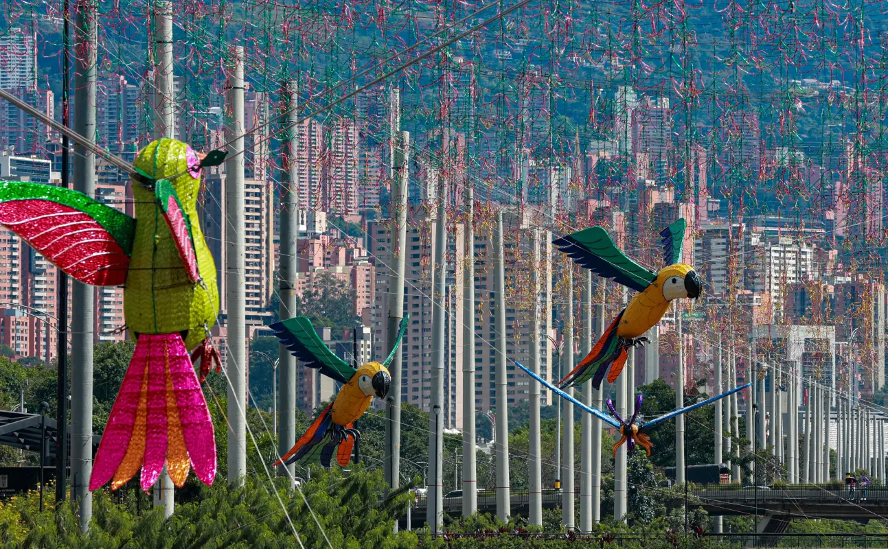 El montaje del alumbrado avanza con gran dinamismo y promete, una vez más, sorprender a propios y visitantes. Foto: Manuel Saldarriaga Quintero.