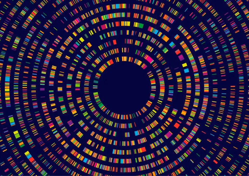 La nueva IA no solo detecta mutaciones genéticas causantes de enfermedad, sino que también las clasifica según su gravedad en todo el organismo. FOTO Agencia Sinc